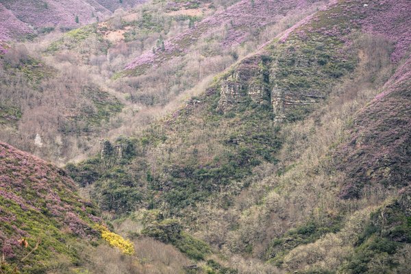 pourquoi la planification successorale est importante pour les petites entreprises familiales